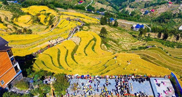 农村  农业  稻田  花瑶  怀化