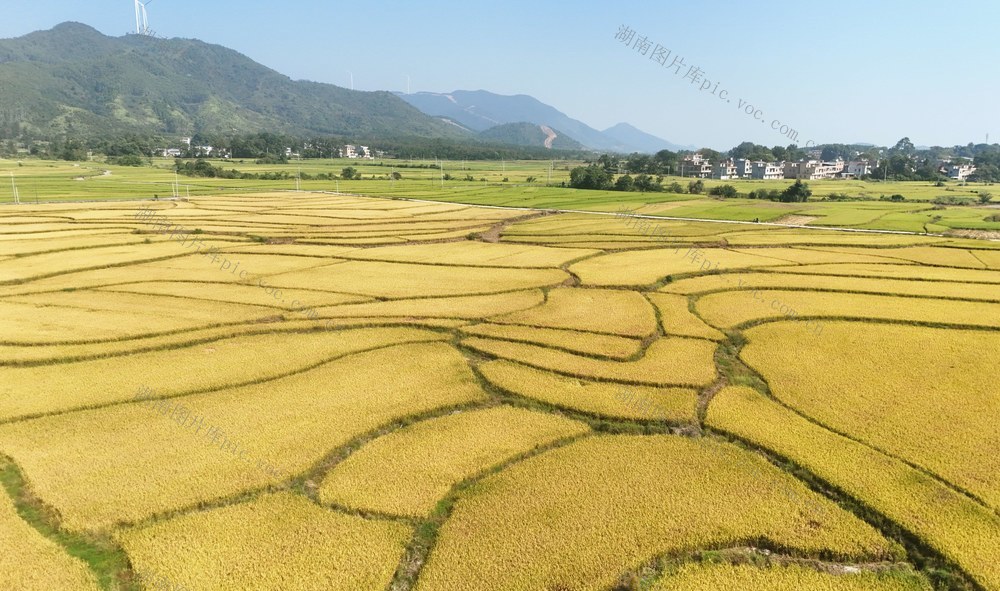   秋日田园景如画