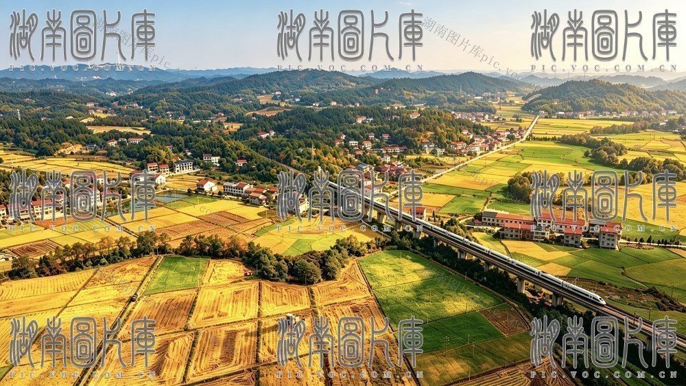 秋  乡村振兴  秋收 