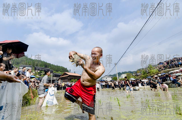 侗寨 村民 开展 重阳 民俗 活动