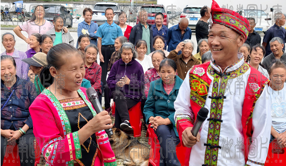 城步 茶园村  文化  活动  庆祝 重阳节