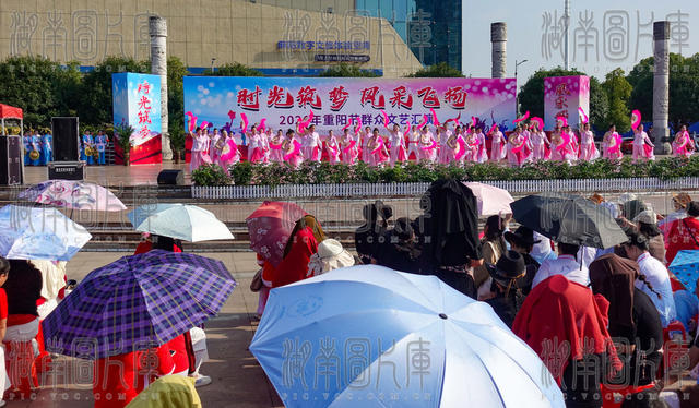 锦江欢歌 喜迎重阳