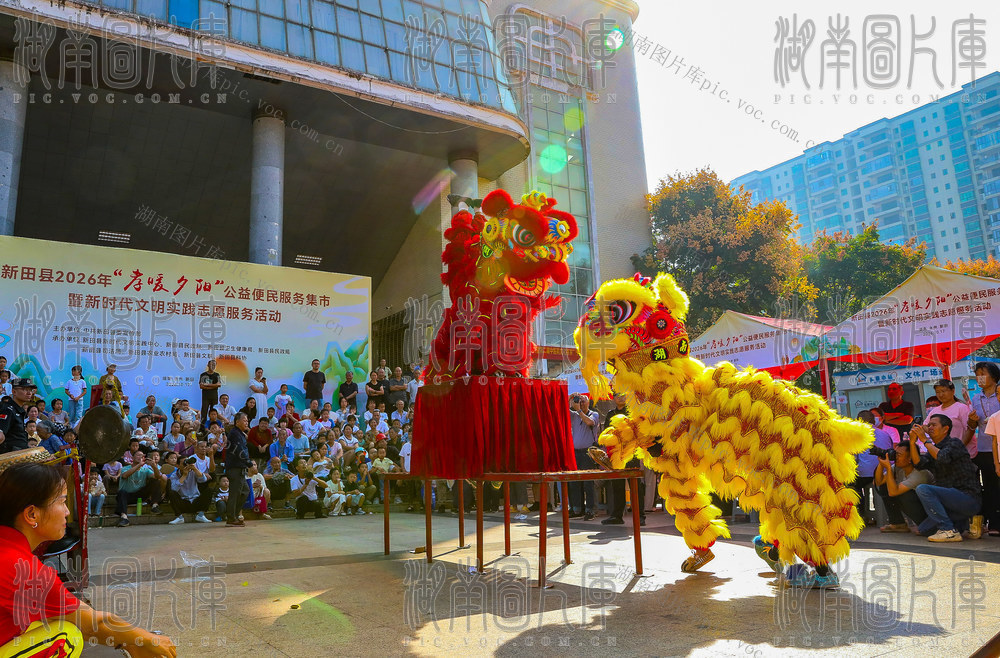 重阳  敬老  爱心  志愿  服务