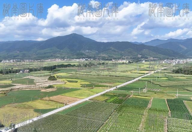   秋日乡村画卷
