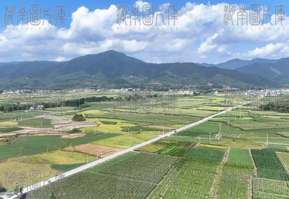   秋日乡村画卷