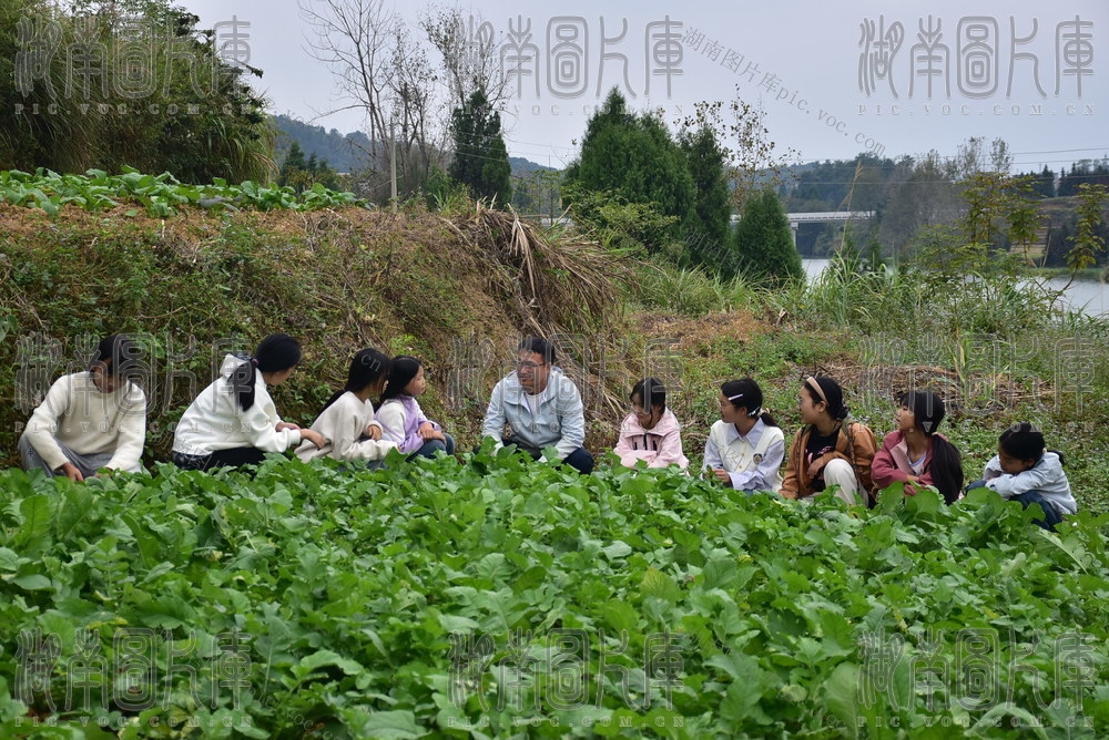 菜园研学练劳技