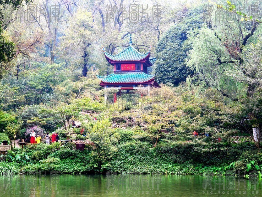 爱晚亭