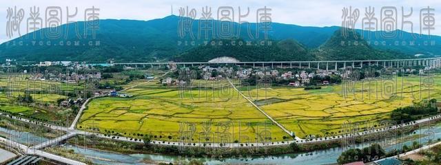 金秋绘振兴 “丰”景好画卷