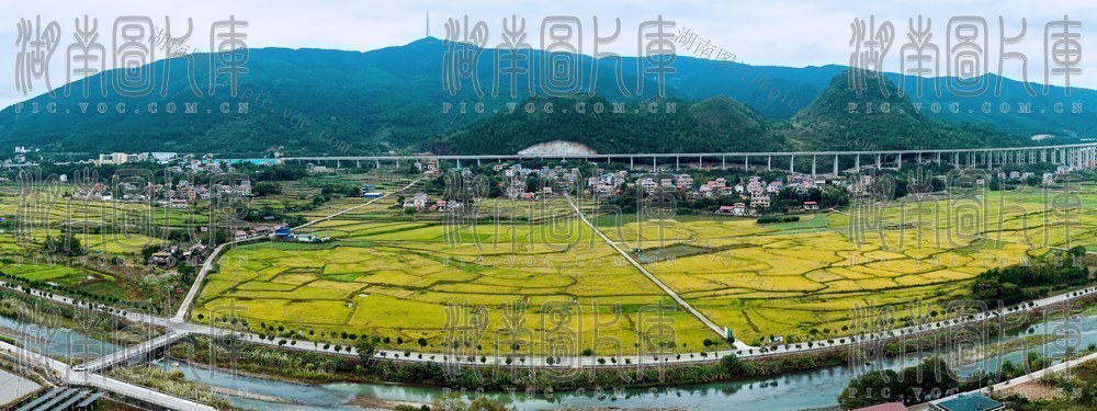 金秋绘振兴 “丰”景好画卷