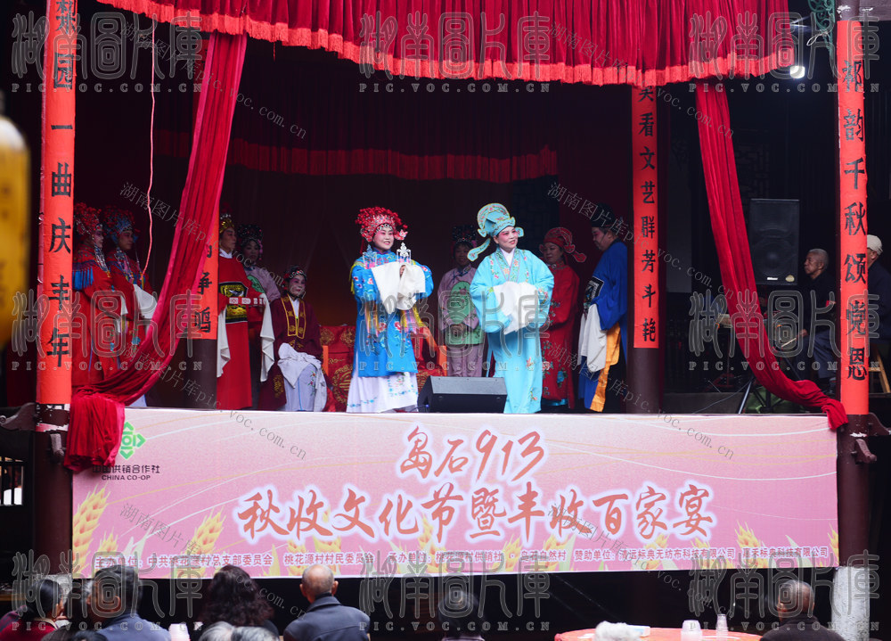 嘉禾：欢庆秋收文化节