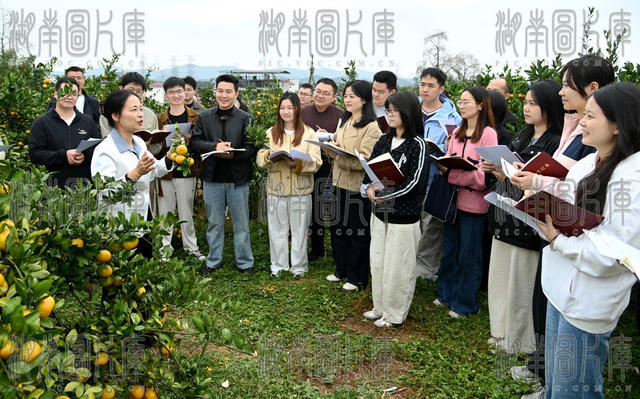 干部 培训 党校 党员 实践 课堂 橘园 教育 中青班 学员  调研 学习 乡村 