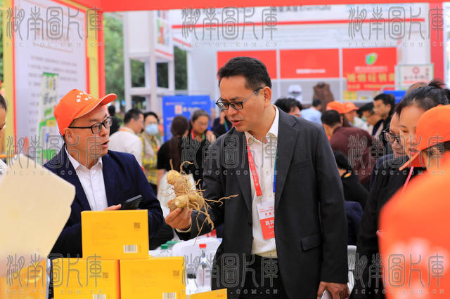 中医药  药材 产业 博览会  市场