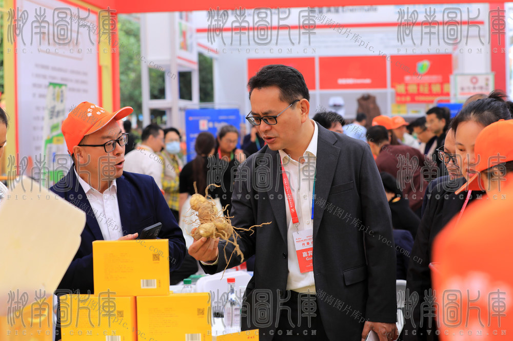 中医药  药材 产业 博览会  市场