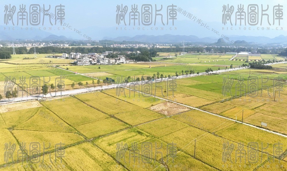 秋日乡景