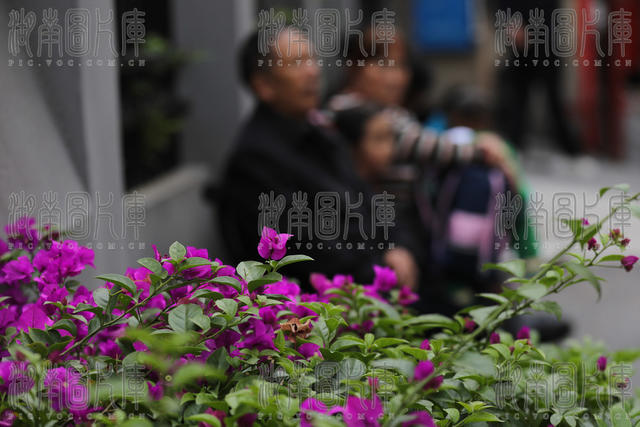 土家族 苗族 小学  一根杠 长椅 接送 学生 不占道 不挡路  温暖 家长 心坎