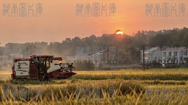 自然 田园风光