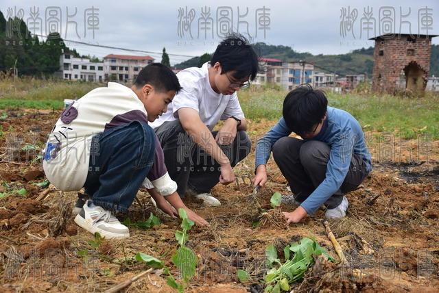 田间研学 以劳育人