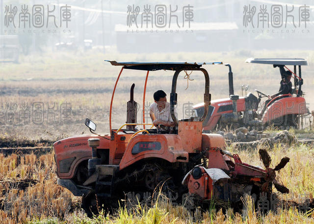 嘉禾：秋收过后翻耕忙